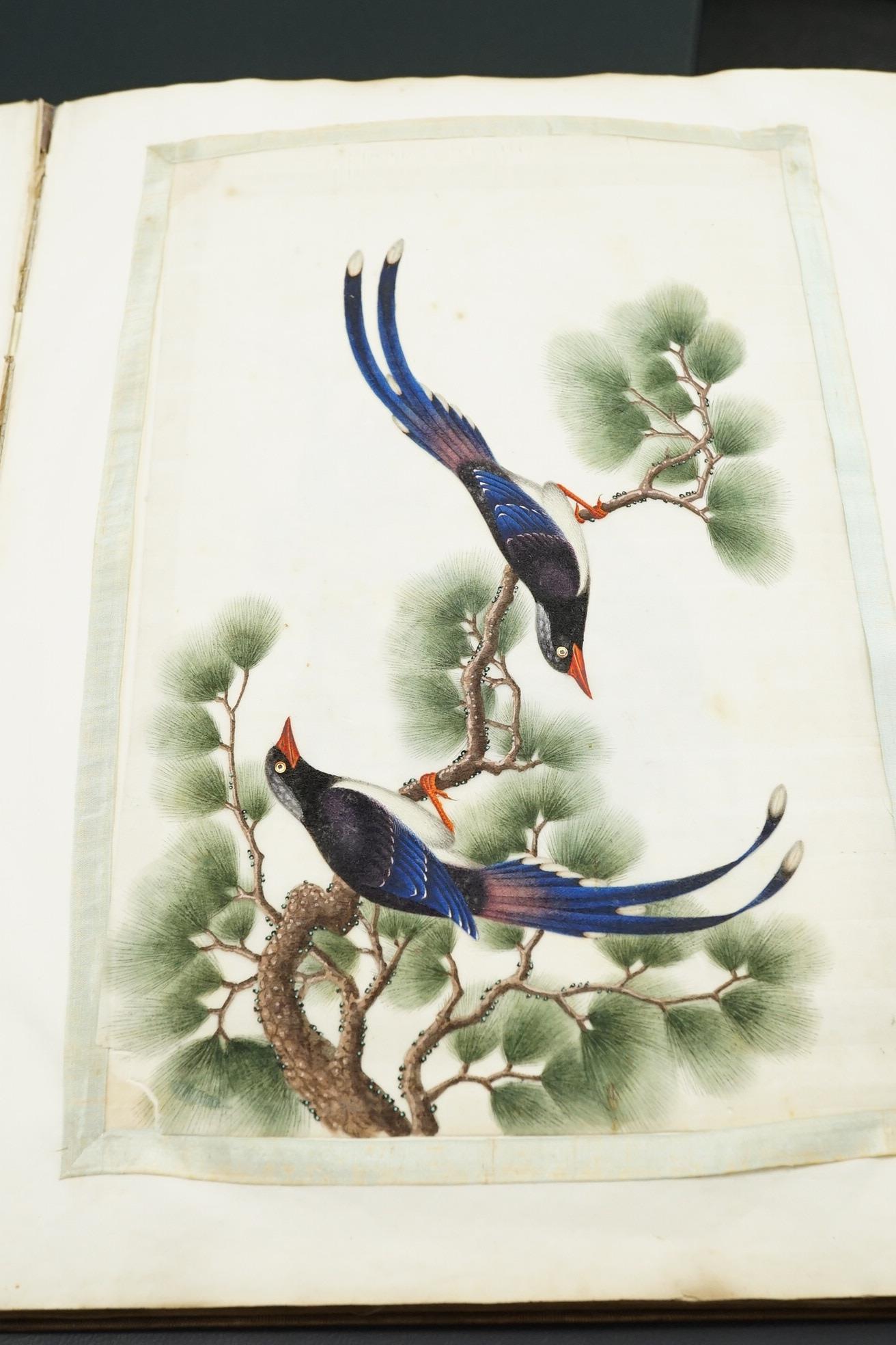 Chinese Guangzhou School , (mid 19th century), Album of 22 watercolours on pith paper and a pencil drawing on rice paper